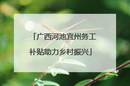 广西河池宜州务工补贴助力乡村振兴