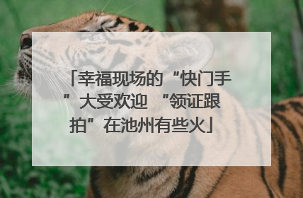 幸福现场的“快门手”大受欢迎 “领证跟拍”在池州有些火
