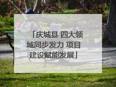 庆城县 四大领域同步发力 项目建设赋能发展