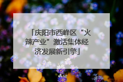庆阳市西峰区“火辣产业”激活集体经济发展新引擎