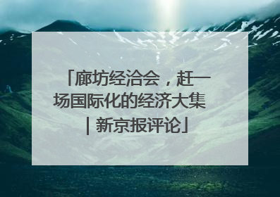 廊坊经洽会，赶一场国际化的经济大集｜新京报评论