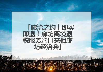 廊洽之约丨即买即退！廊坊离境退税服务端口亮相廊坊经洽会