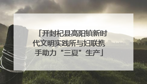 开封杞县高阳镇新时代文明实践所与妇联携手助力“三夏”生产