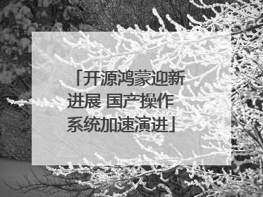 开源鸿蒙迎新进展 国产操作系统加速演进