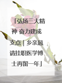 弘扬三大精神 奋力建成支点｜乡亲恳请挂职医学博士再留一年