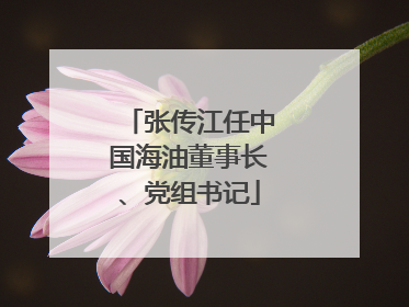 张传江任中国海油董事长、党组书记