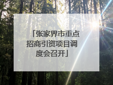 张家界市重点招商引资项目调度会召开