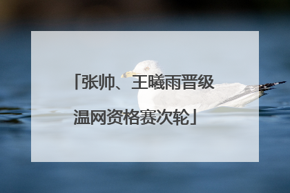 张帅、王曦雨晋级温网资格赛次轮