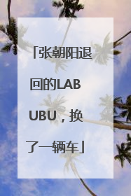 张朝阳退回的LABUBU，换了一辆车