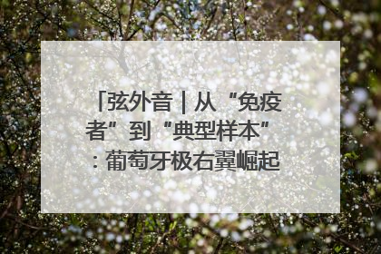 弦外音｜从“免疫者”到“典型样本”：葡萄牙极右翼崛起背后的欧洲困局