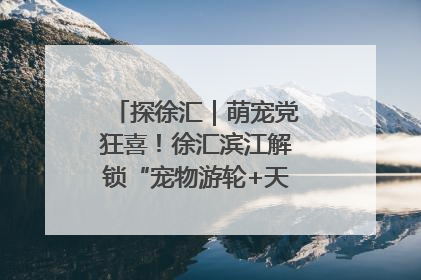 探徐汇｜萌宠党狂喜！徐汇滨江解锁“宠物游轮+天台乐园”双玩法