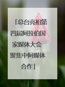 总台亮相第四届阿拉伯国家媒体大会 聚焦中阿媒体合作
