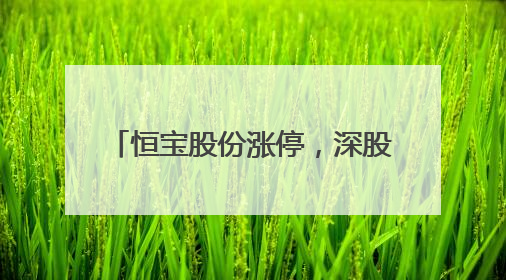 恒宝股份涨停，深股通龙虎榜上净买入3583.22万元