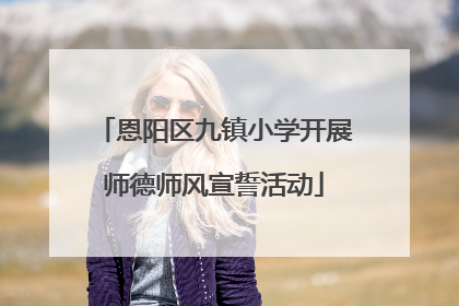 恩阳区九镇小学开展师德师风宣誓活动
