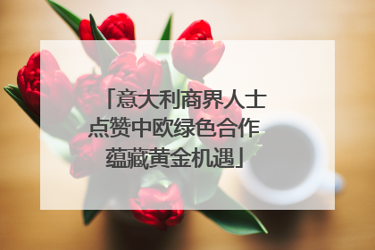 意大利商界人士点赞中欧绿色合作蕴藏黄金机遇