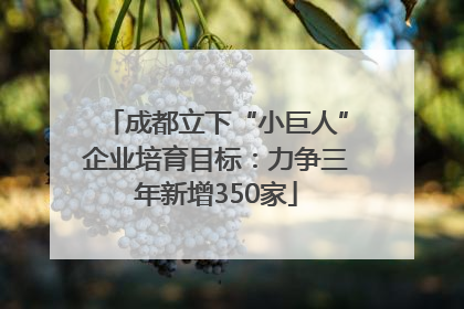成都立下“小巨人”企业培育目标：力争三年新增350家