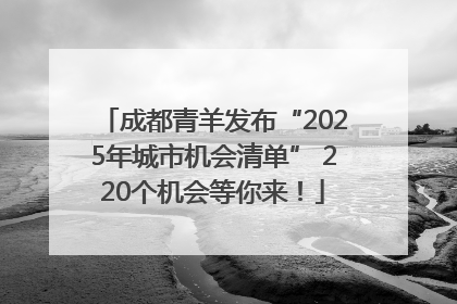 成都青羊发布“2025年城市机会清单” 220个机会等你来！
