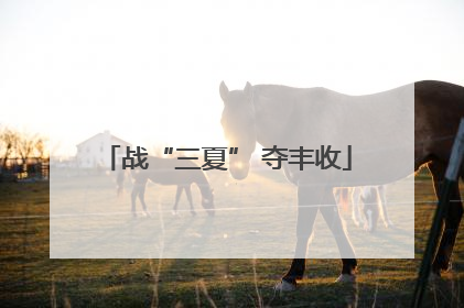 战“三夏” 夺丰收