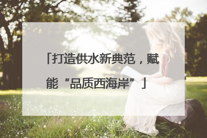 打造供水新典范，赋能“品质西海岸”