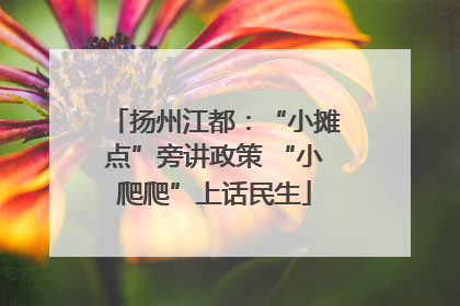 扬州江都：“小摊点”旁讲政策 “小爬爬”上话民生