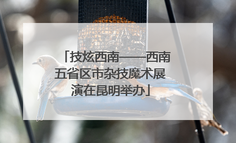 技炫西南——西南五省区市杂技魔术展演在昆明举办
