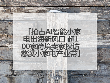 抢占AI智能小家电出海新风口 超100家跨境卖家探访慈溪小家电产业带