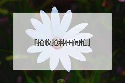 抢收抢种田间忙