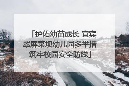 护佑幼苗成长 宜宾翠屏菜坝幼儿园多举措筑牢校园安全防线
