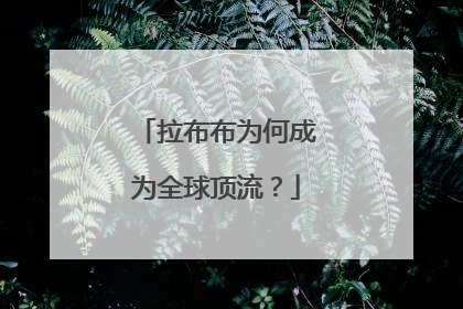 拉布布为何成为全球顶流？