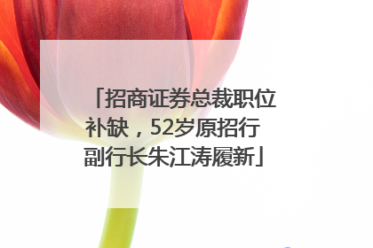 招商证券总裁职位补缺，52岁原招行副行长朱江涛履新