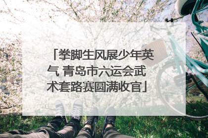 拳脚生风展少年英气 青岛市六运会武术套路赛圆满收官