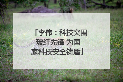 李伟：科技突围 玻纤先锋 为国家科技安全铸盾