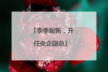 李季履新，升任央企副总
