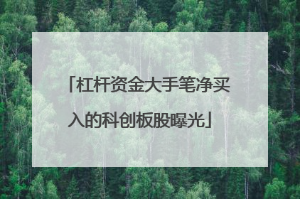 杠杆资金大手笔净买入的科创板股曝光