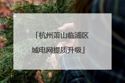 杭州萧山临浦区域电网提质升级