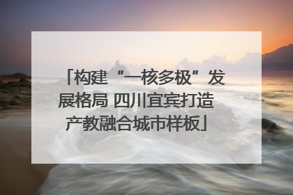 构建“一核多极”发展格局 四川宜宾打造产教融合城市样板