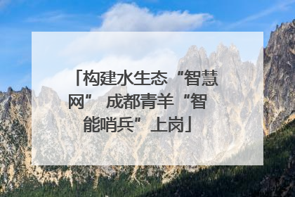 构建水生态“智慧网” 成都青羊“智能哨兵”上岗