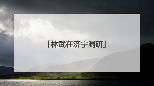 林武在济宁调研
