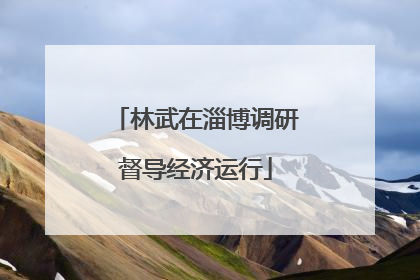 林武在淄博调研督导经济运行