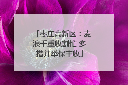 枣庄高新区：麦浪千重收割忙 多措并举保丰收