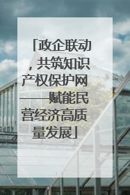 政企联动，共筑知识产权保护网——赋能民营经济高质量发展