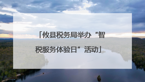 攸县税务局举办“智税服务体验日”活动