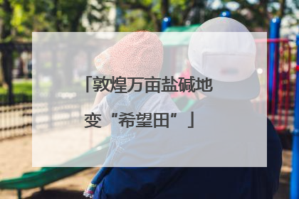 敦煌万亩盐碱地变“希望田”