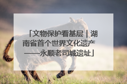 文物保护看基层｜湖南省首个世界文化遗产——永顺老司城遗址