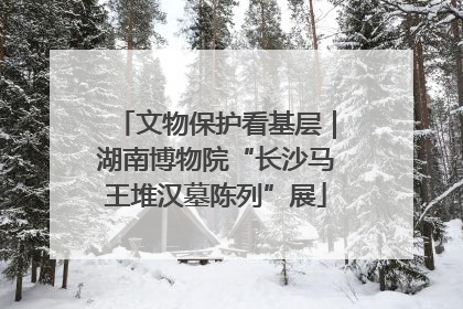 文物保护看基层｜湖南博物院“长沙马王堆汉墓陈列”展