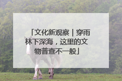 文化新观察｜穿雨林下深海，这里的文物普查不一般