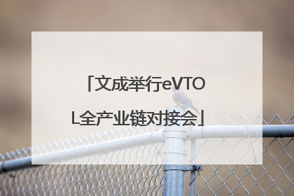 文成举行eVTOL全产业链对接会