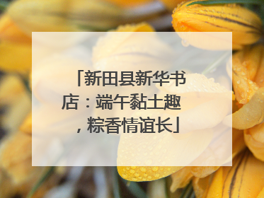 新田县新华书店：端午黏土趣，粽香情谊长