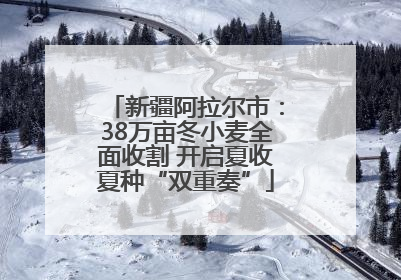 新疆阿拉尔市：38万亩冬小麦全面收割 开启夏收夏种“双重奏”