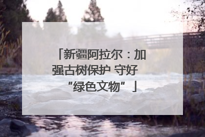 新疆阿拉尔：加强古树保护 守好“绿色文物”